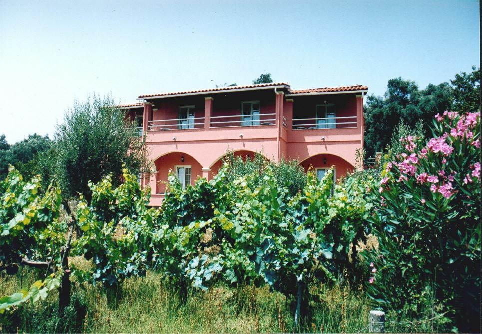 Kogeros Apartment Agios Georgios Pagon Exterior photo